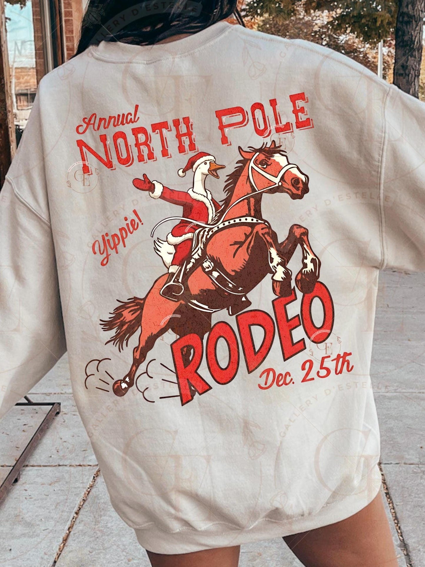 North Pole Goose Rodeo PNG, Retro Western Christmas Graphic, Festive Farmhouse Art, Funny Cowboy Shirt Design