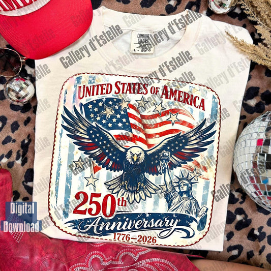 T-shirt with American flag and eagle design on a patterned surface