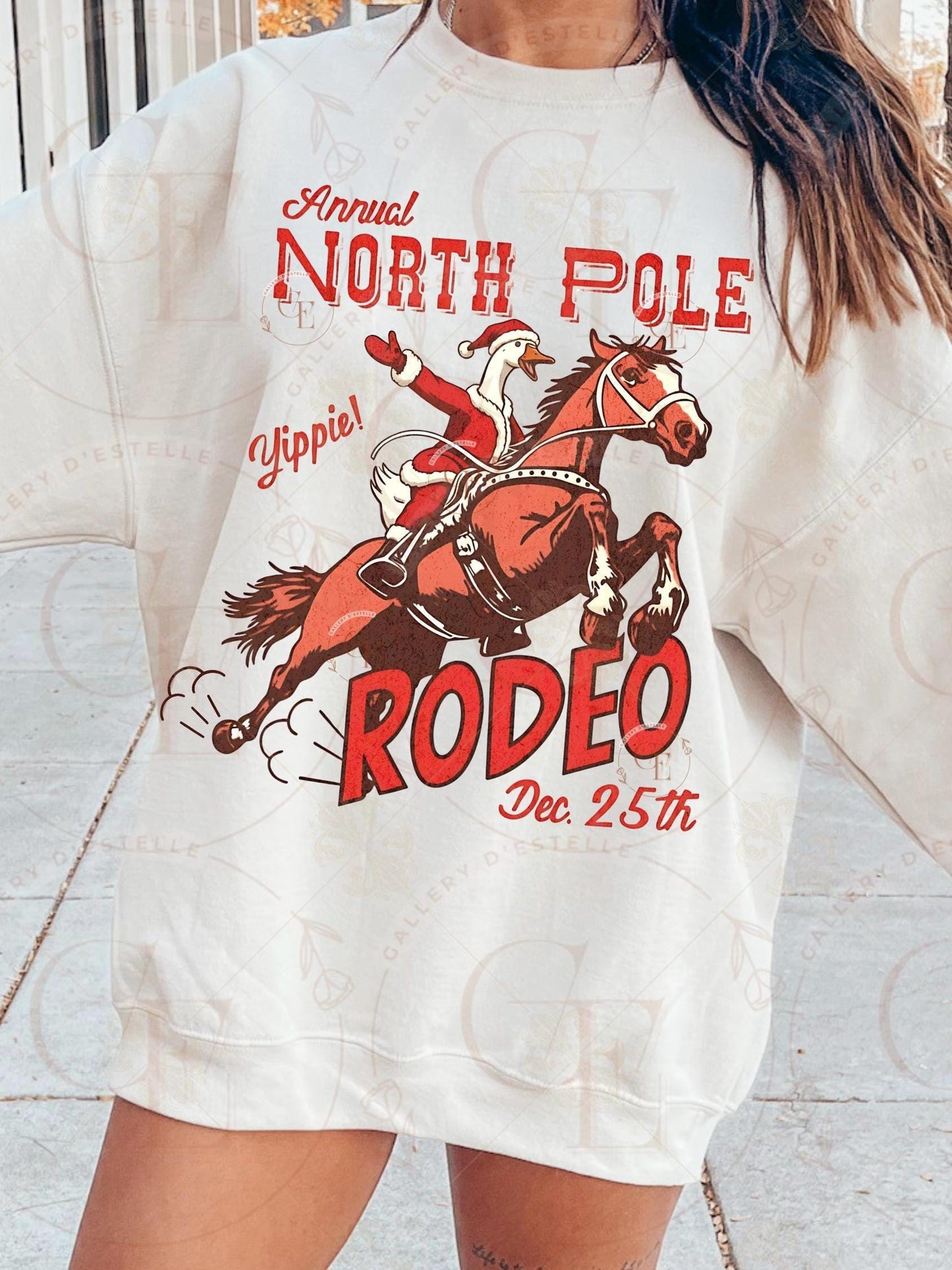North Pole Goose Rodeo PNG, Retro Western Christmas Graphic, Festive Farmhouse Art, Funny Cowboy Shirt Design